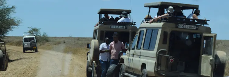 3 Days Tanzania Big Five Safari Experience Safari