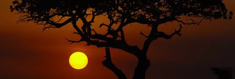 12 Days Grand Tanzania Safari Adventure 2026/2027 Safari