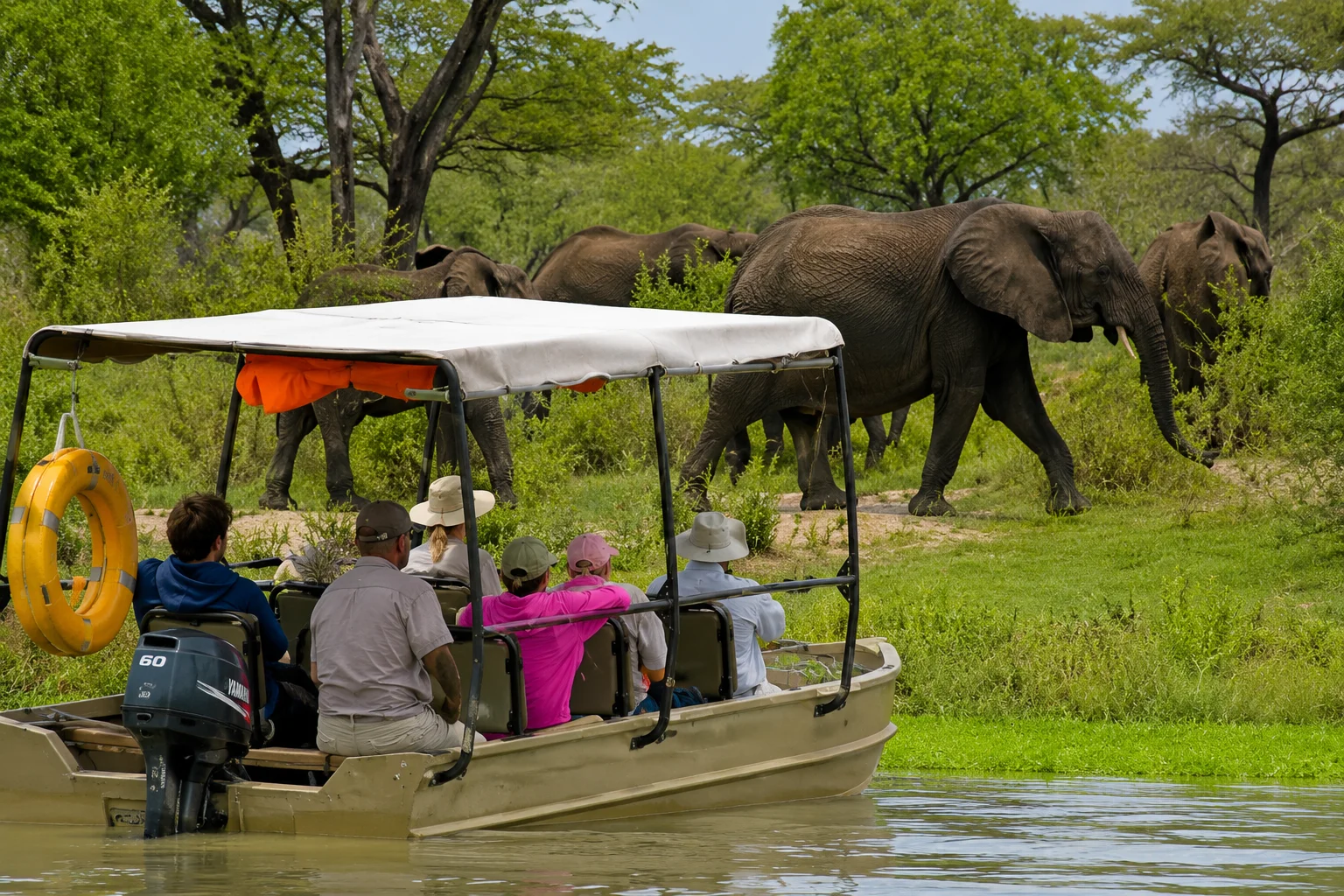 3 Days Nyerere National Park Safari | Boat Safari, Game Drive & Walking Safari