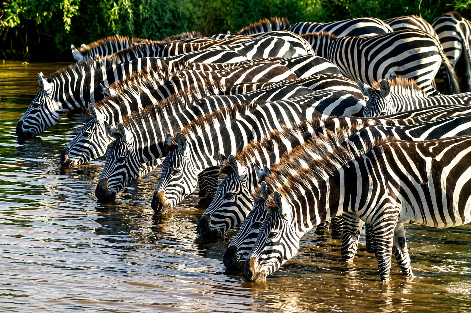 4 Days Mikumi Safari from Dar es Salaam