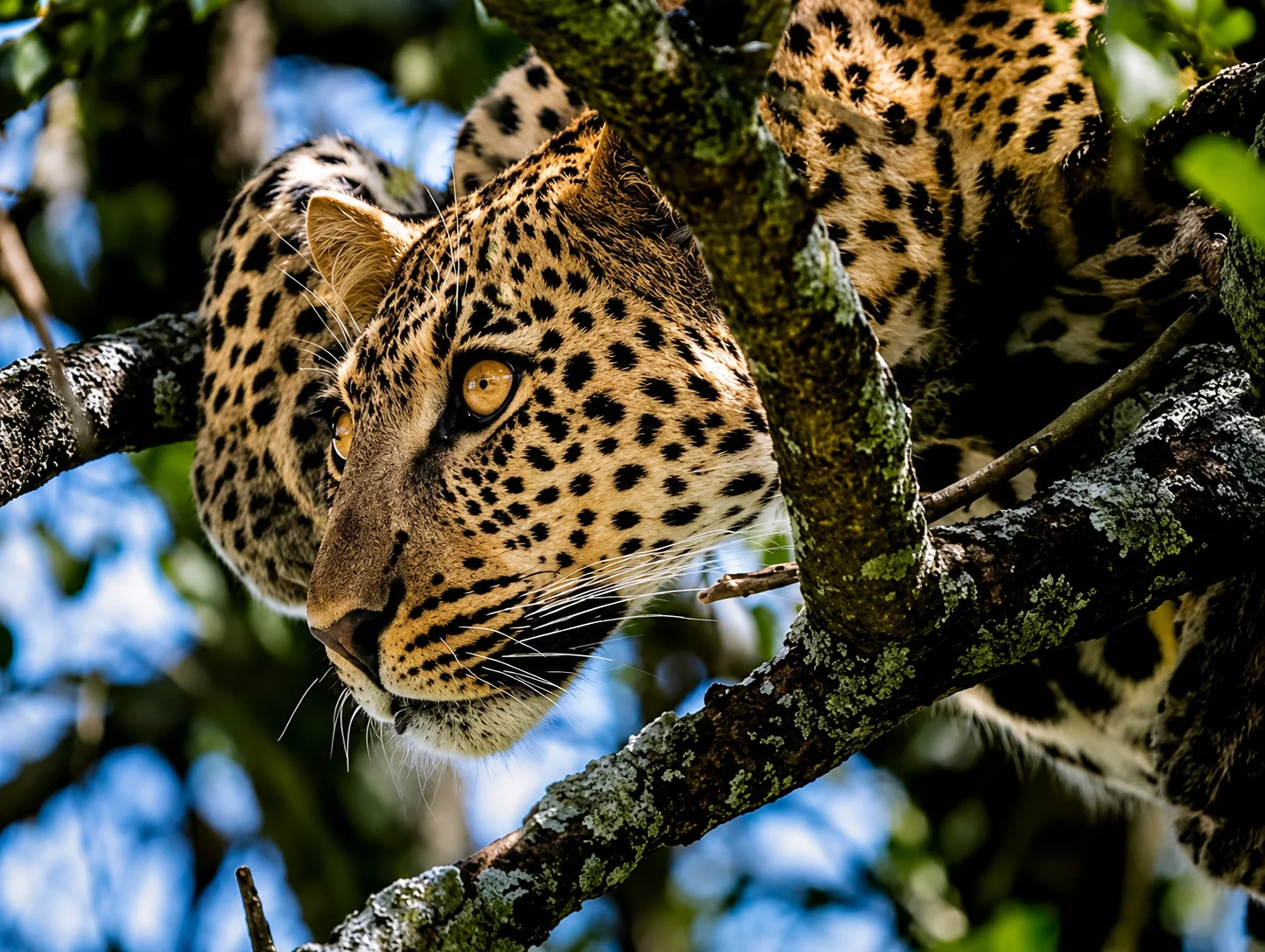8 Days Tanzania Private Luxury Safari in March | Great Migration 2027