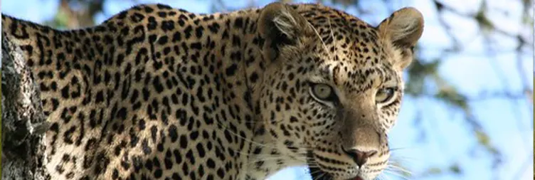 Day 5 Image