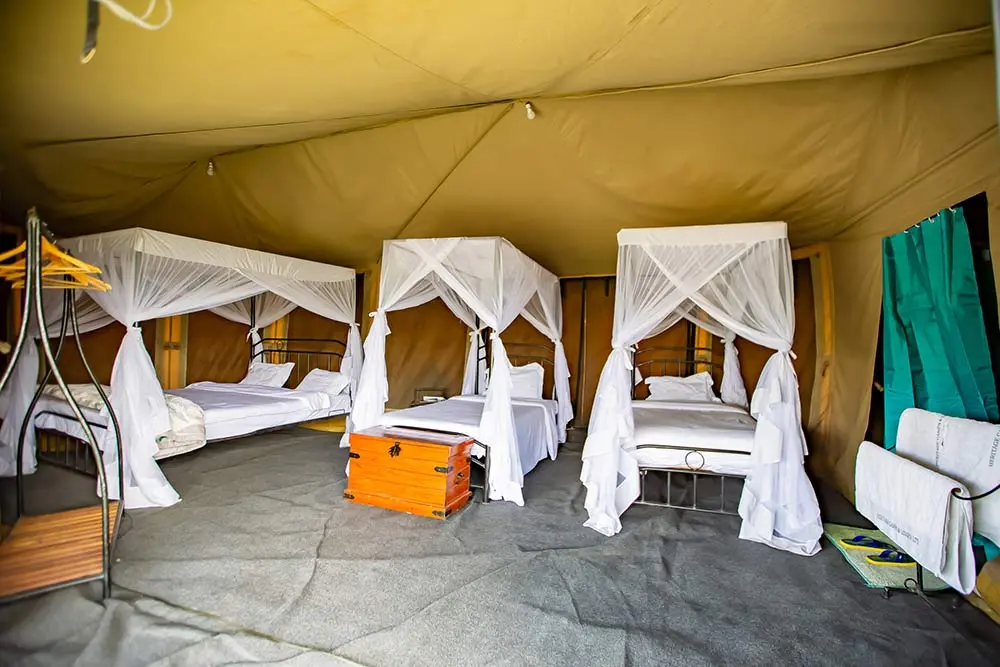 Ndutu Heritage Camp accommodation image 3