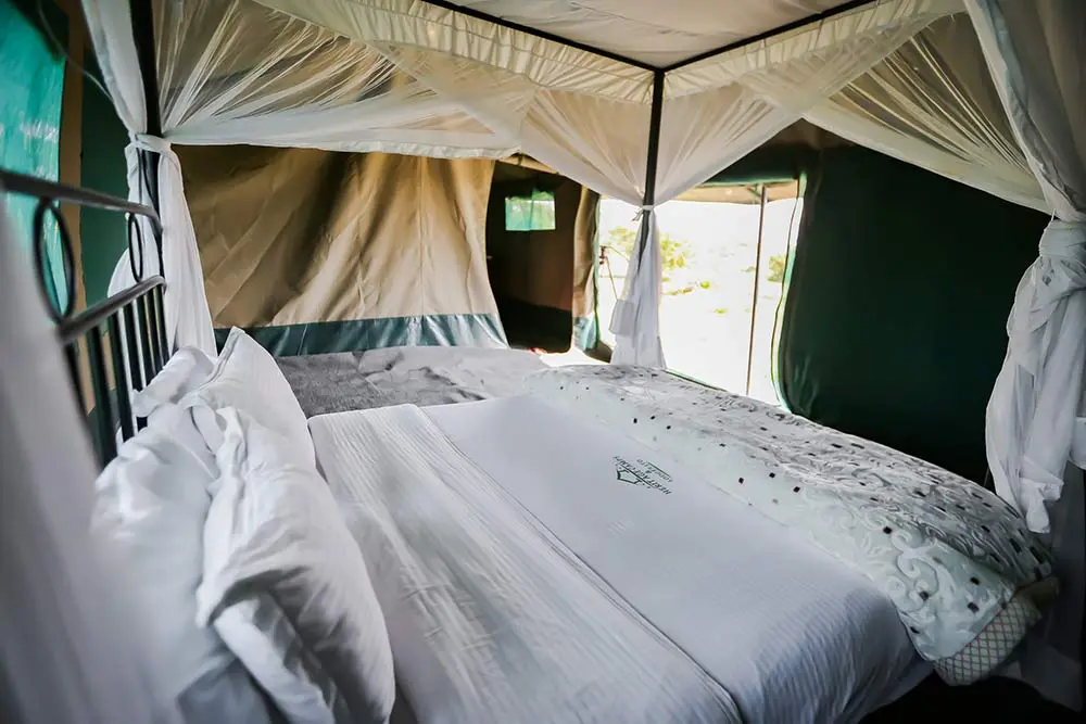 Ndutu Heritage Camp accommodation image 2