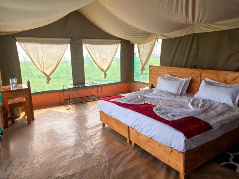 Robin Migration Camp accommodation image 3