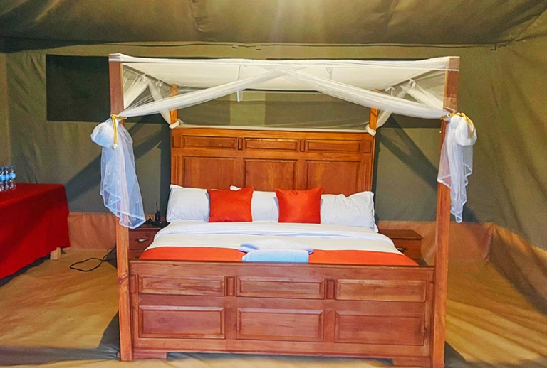 Robin Serengeti Camp accommodation image 1