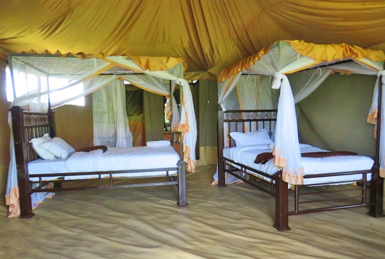 Robin Serengeti Camp accommodation image 2