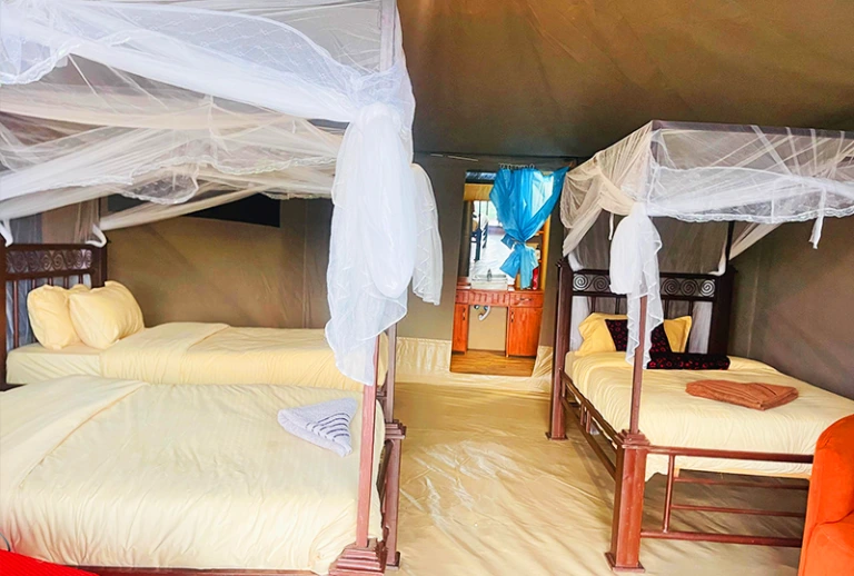 Robin Serengeti Camp accommodation image 3