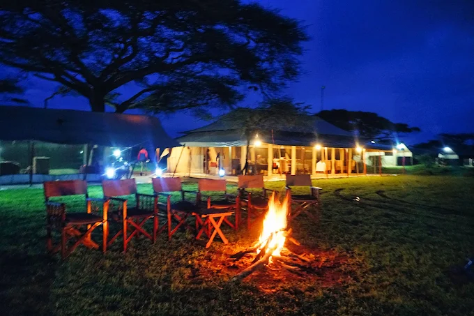 Serengeti Savannah Camp accommodation image 3