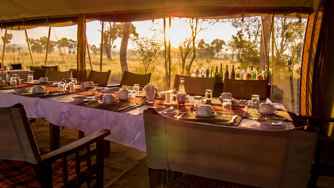 Serengeti Savannah Camp accommodation image 2