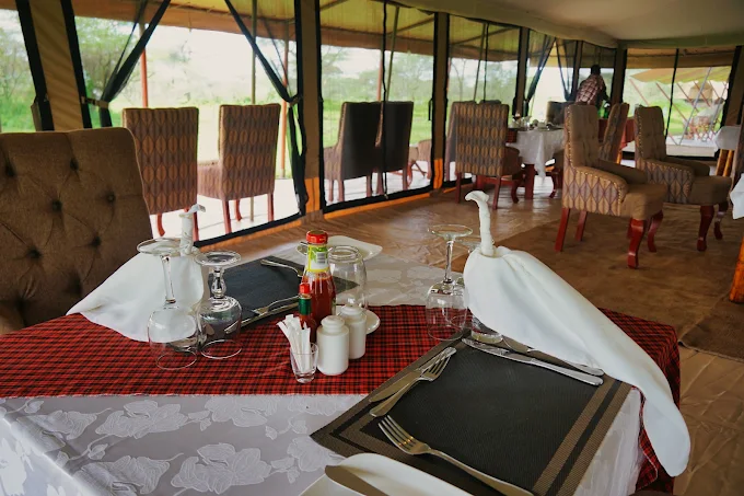 Serengeti Savannah Camp accommodation image 1