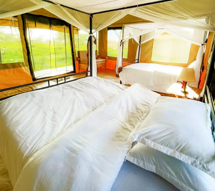 Sero Tented Camp accommodation image 1