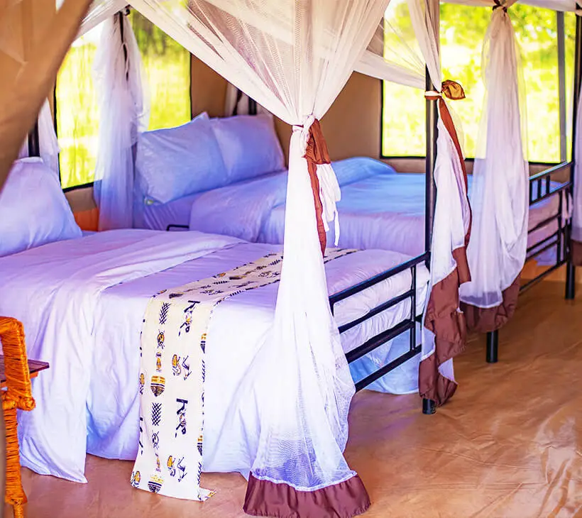 Sero Tented Camp accommodation image 2