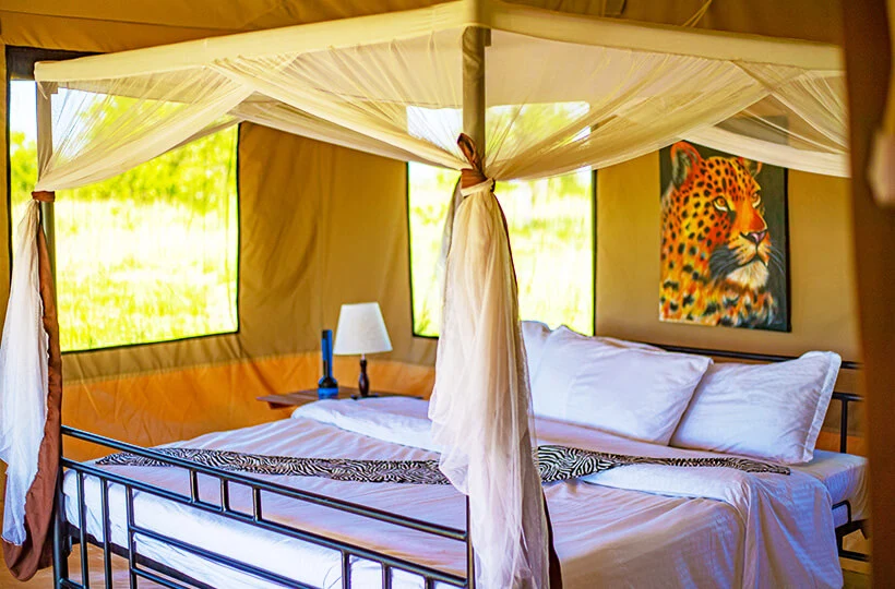 Sero Tented Camp accommodation image 3