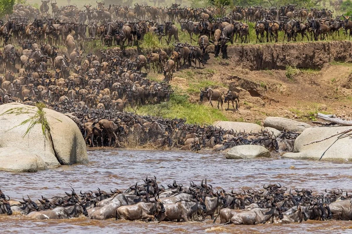 Day 3: Kogatende/Mara River Area – Mara River Safari