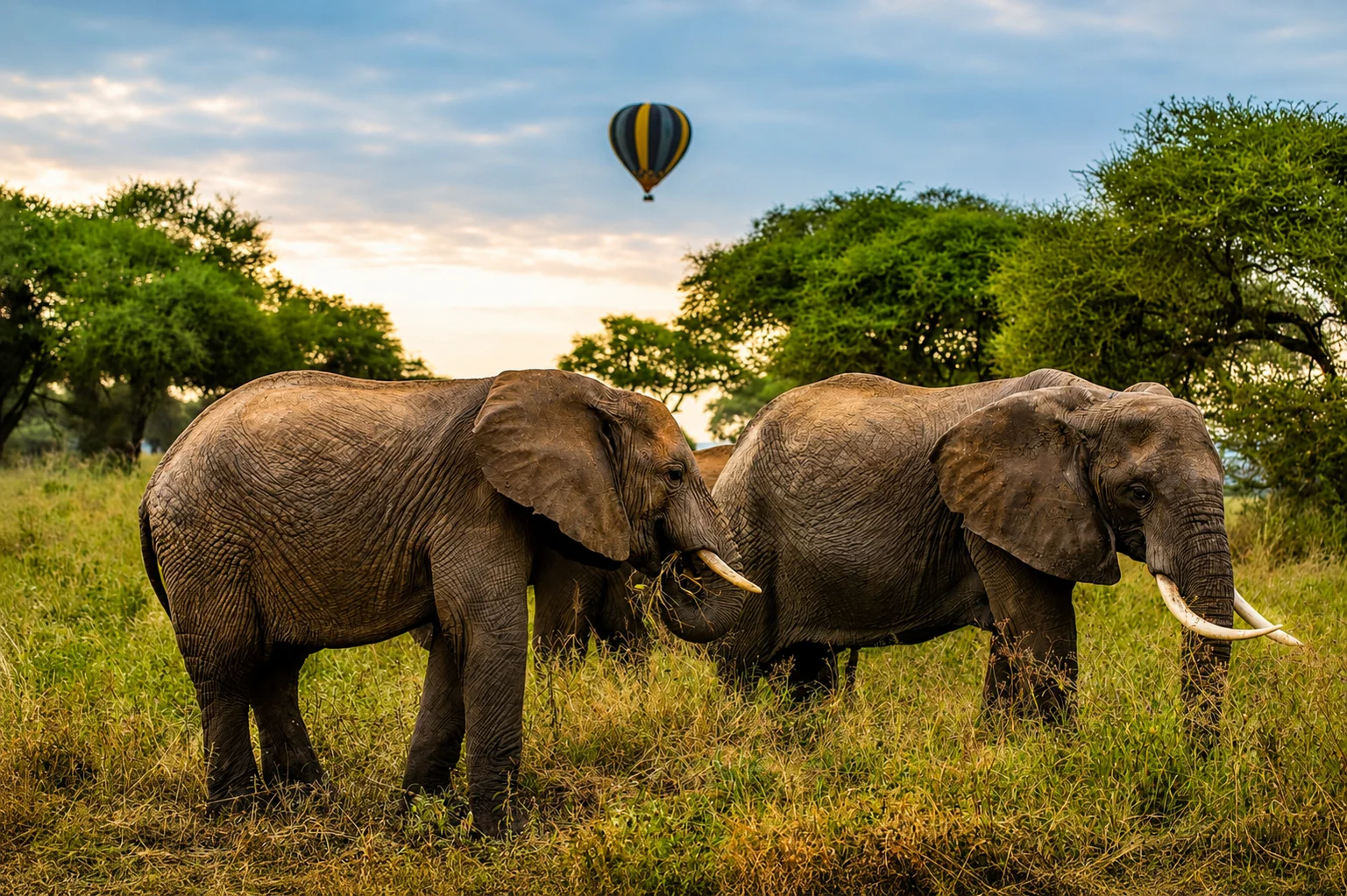 Day 1: Arusha to Tarangire National Park – Elephant