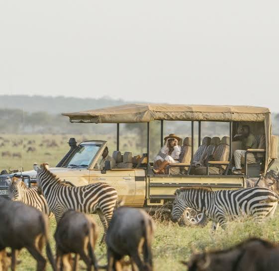 Day 1: Arusha – Drive to Ndutu & Early Calving Game Drive Ndutu Area