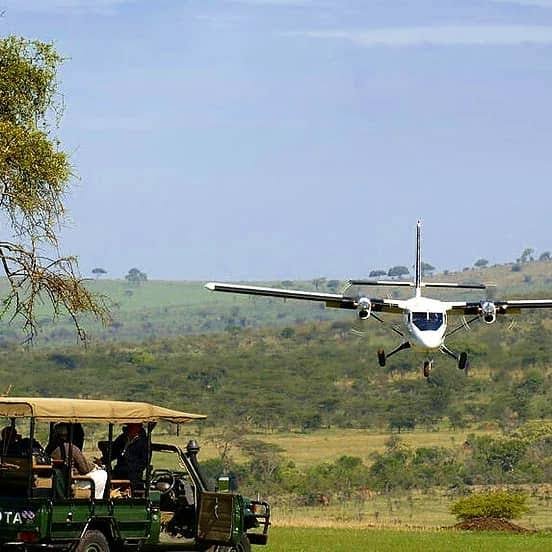 Day 7: Central Serengeti – Morning Safari & Fly Out to Arusha